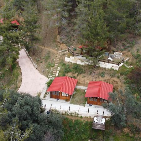 Bosco Paradiso Limassol Exterior photo